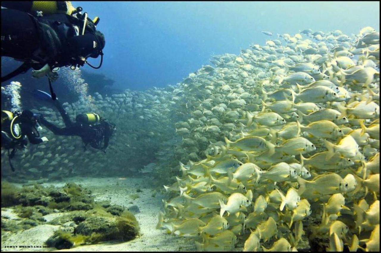 Puerto De Mogan Castillete 4 Екстериор снимка